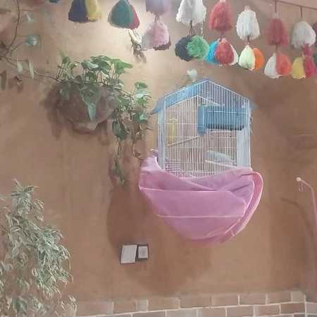 فروش و اجرای کاهگل مدرن غلامی