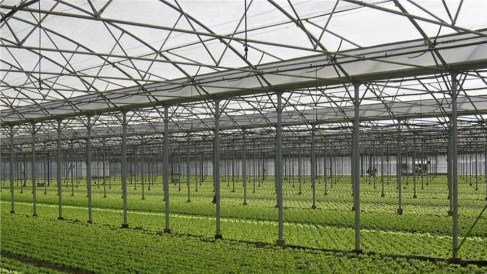 گلخانه مدرن باقری در اصفهان