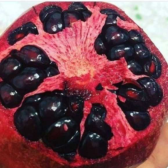 بهین پلاست محمدی