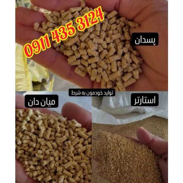 خوراک دام گنبد