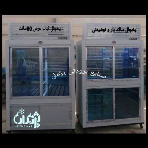 یخچال ایستاده و مکعبی قصابی و پروتئین فروشی