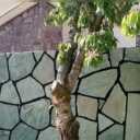 پیمانکاری مرادی، فروش و اجرای سنگ لاشه و مالون در دماوند