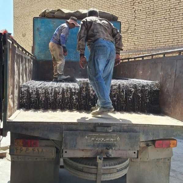 اشراق شمس فاتح