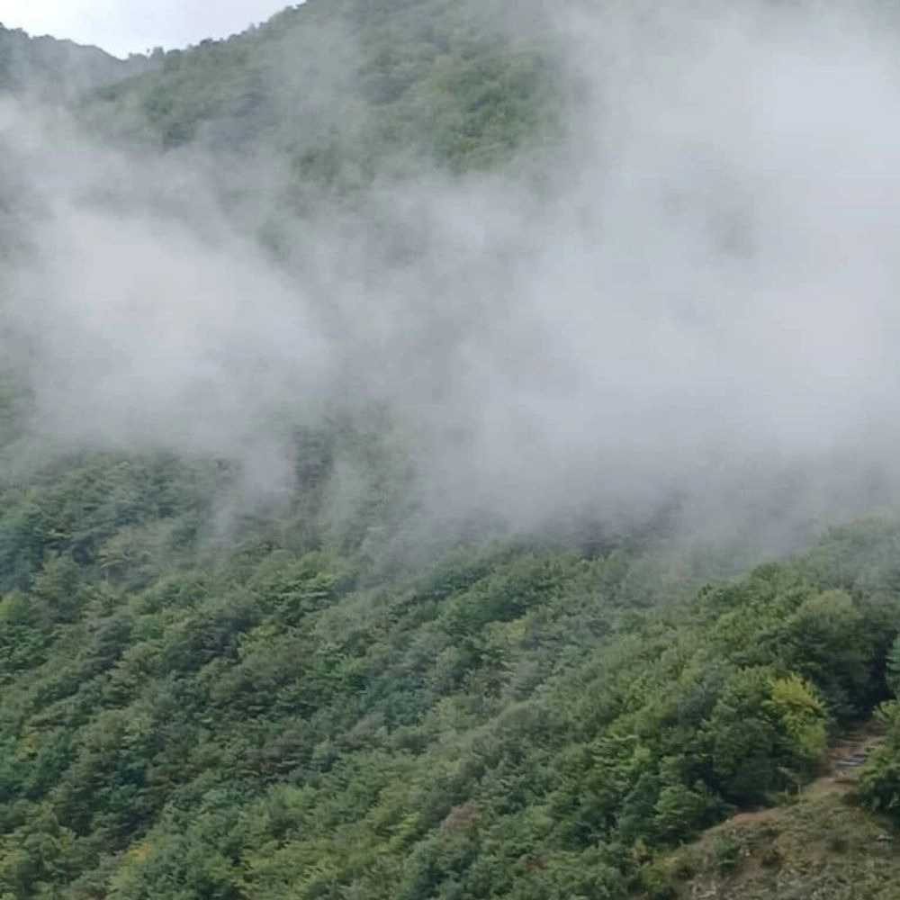 اقامتگاه یاسر
