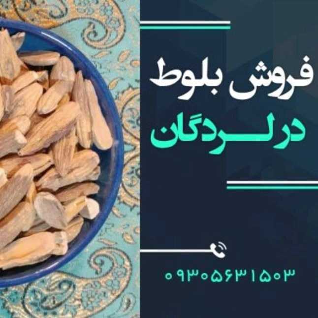 مجموعه آزاد اندیشان