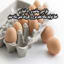 ظروف لبنی شاه صنم، طراحی ساخت و راه اندازی خط تولید شانه تخم مرغ در کرج