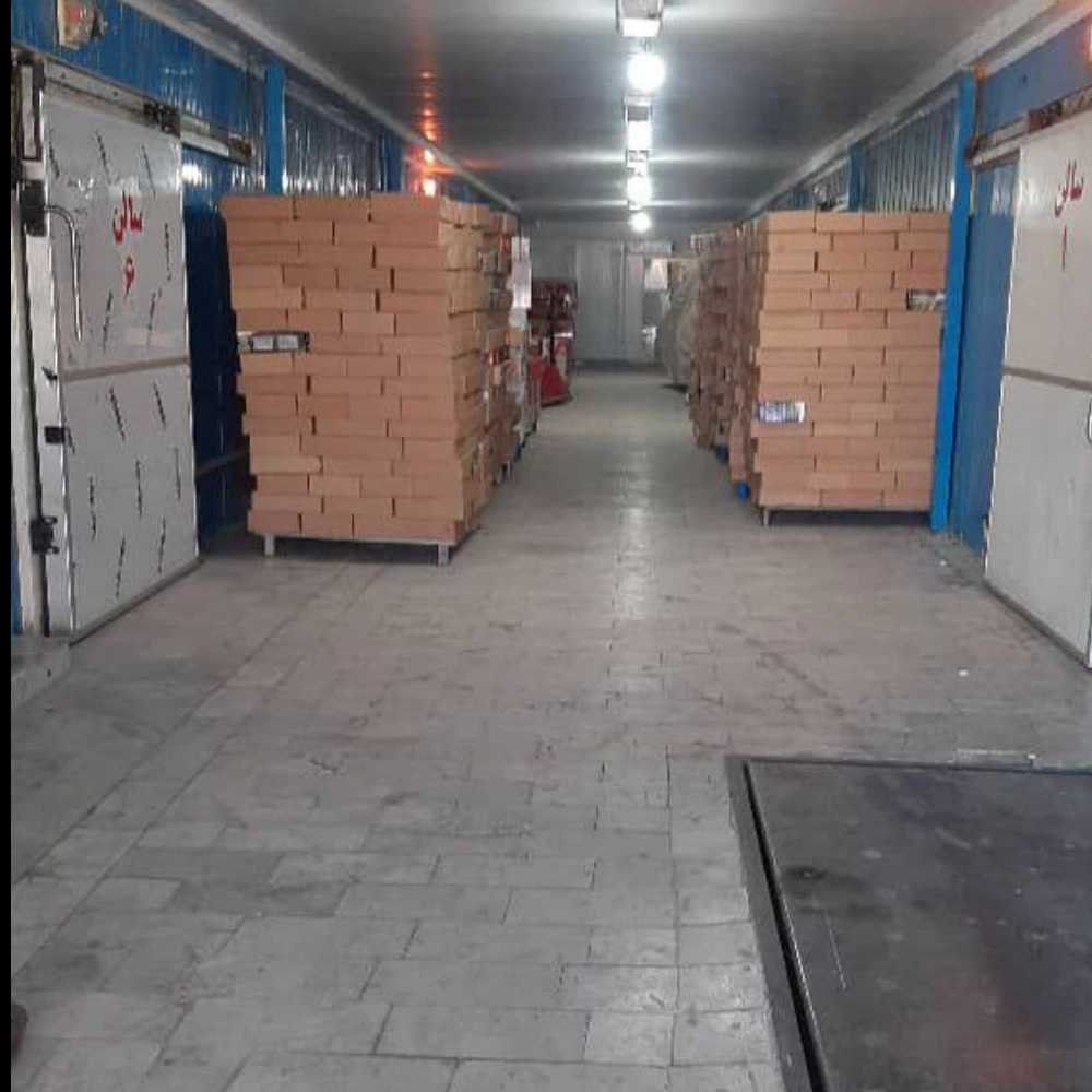 شرکت سردین