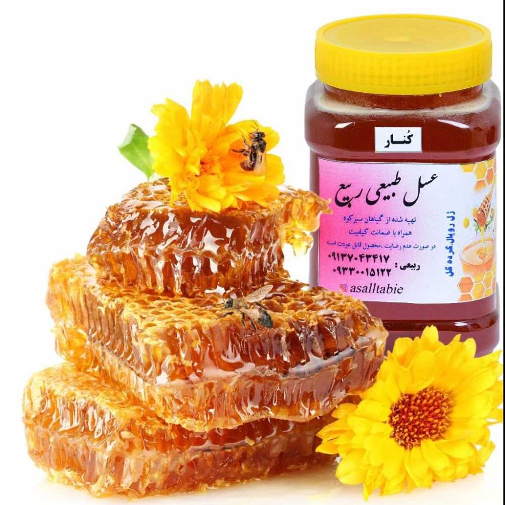 عسل طبیعی ربیع