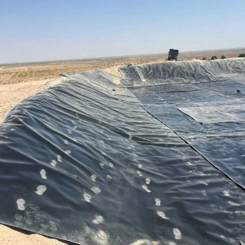مجموعه زیستاب