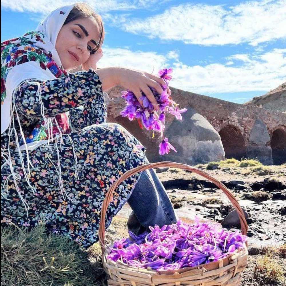 تولید و فروش زعفران