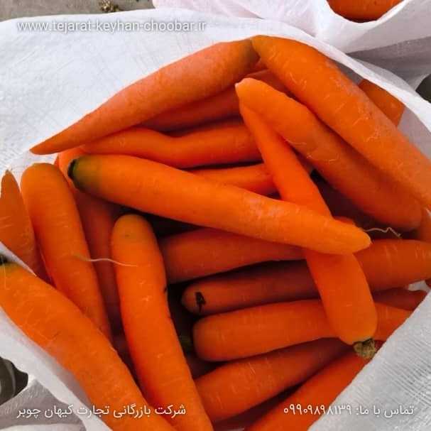 هویج
