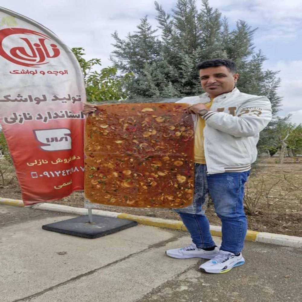 شرکت ناریش