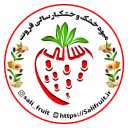 میوه خشک و خشکبار سالی فروت، تولید و فروش میوه خشک و خشکبار در مازندران