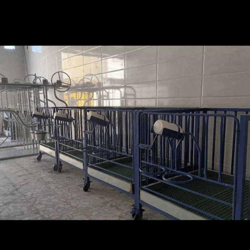 ساخت فری استال و باکس شیردوش و سمچین دامداری طاها صنعت در فارس