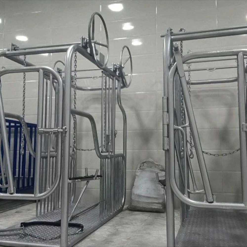 ساخت فری استال و باکس شیردوش و سمچین دامداری طاها صنعت در فارس