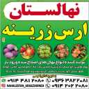 نهالستان ارس زرینه، فروش نهال گردو زردآلو هلو سیب در میاندوآب