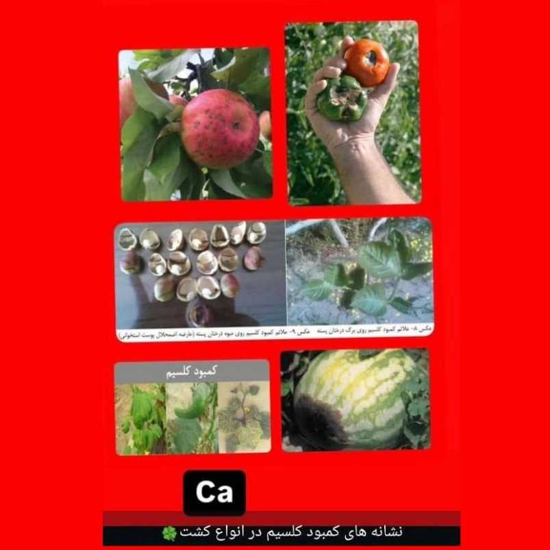 نمایندگی فروش کودهای ارگانیک در کرمان