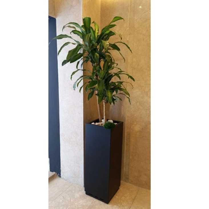 اجرای فضای سبز