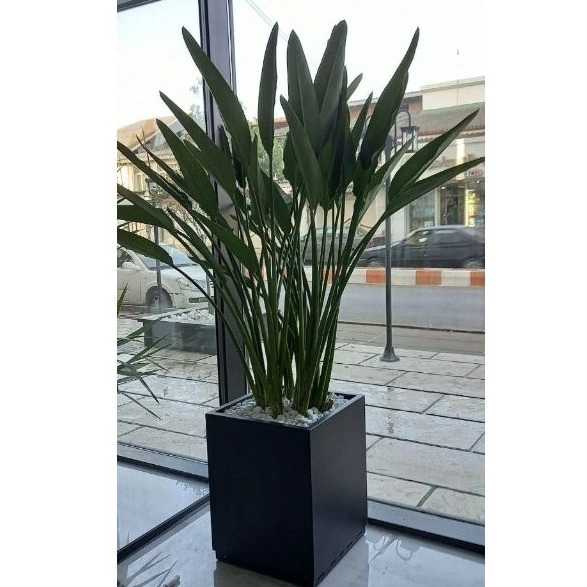 اجرای فضای سبز