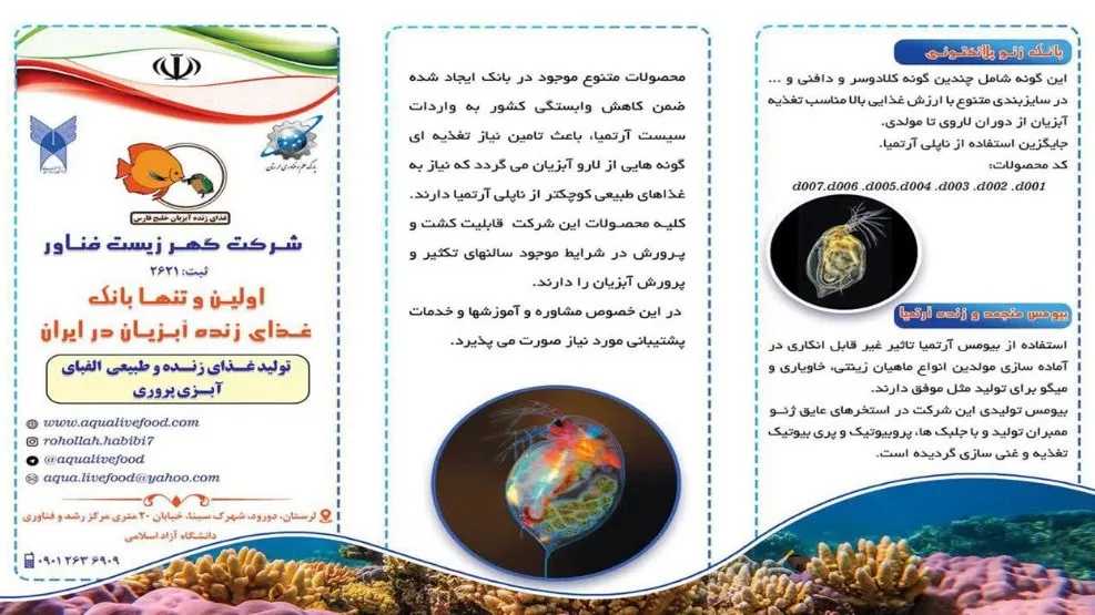 بروشور شرکت