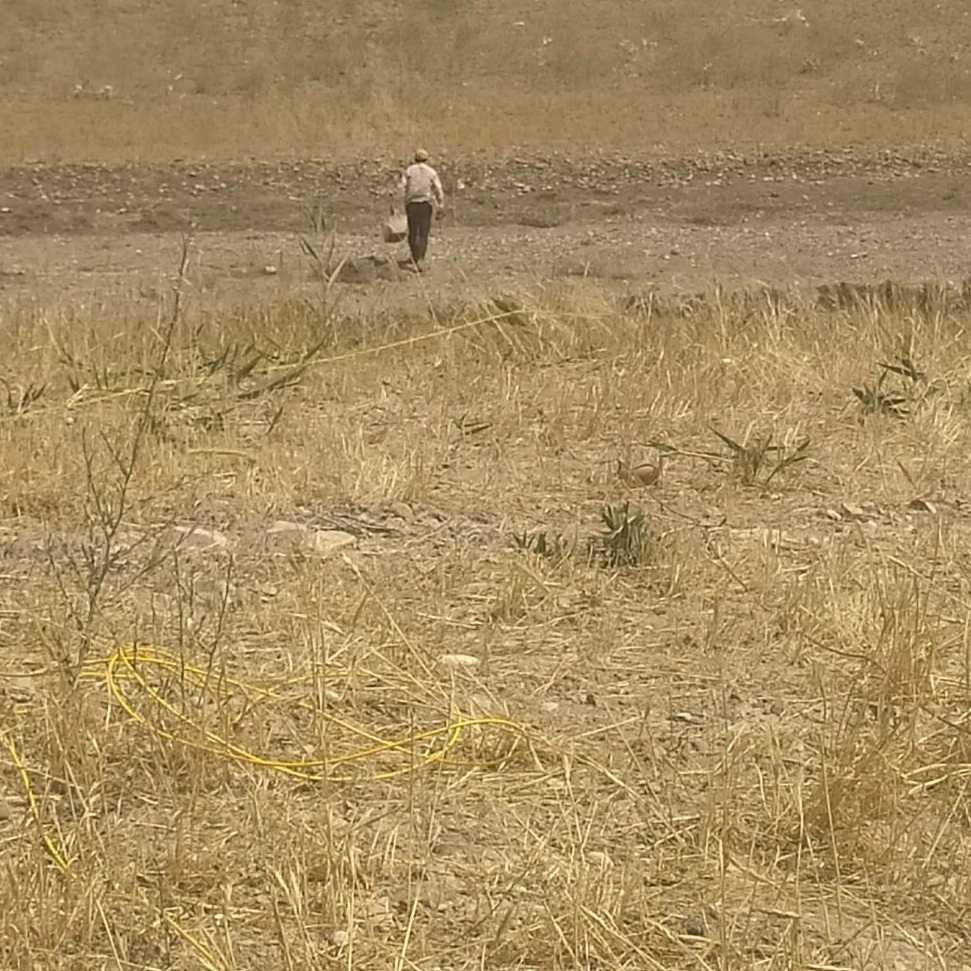 میانه