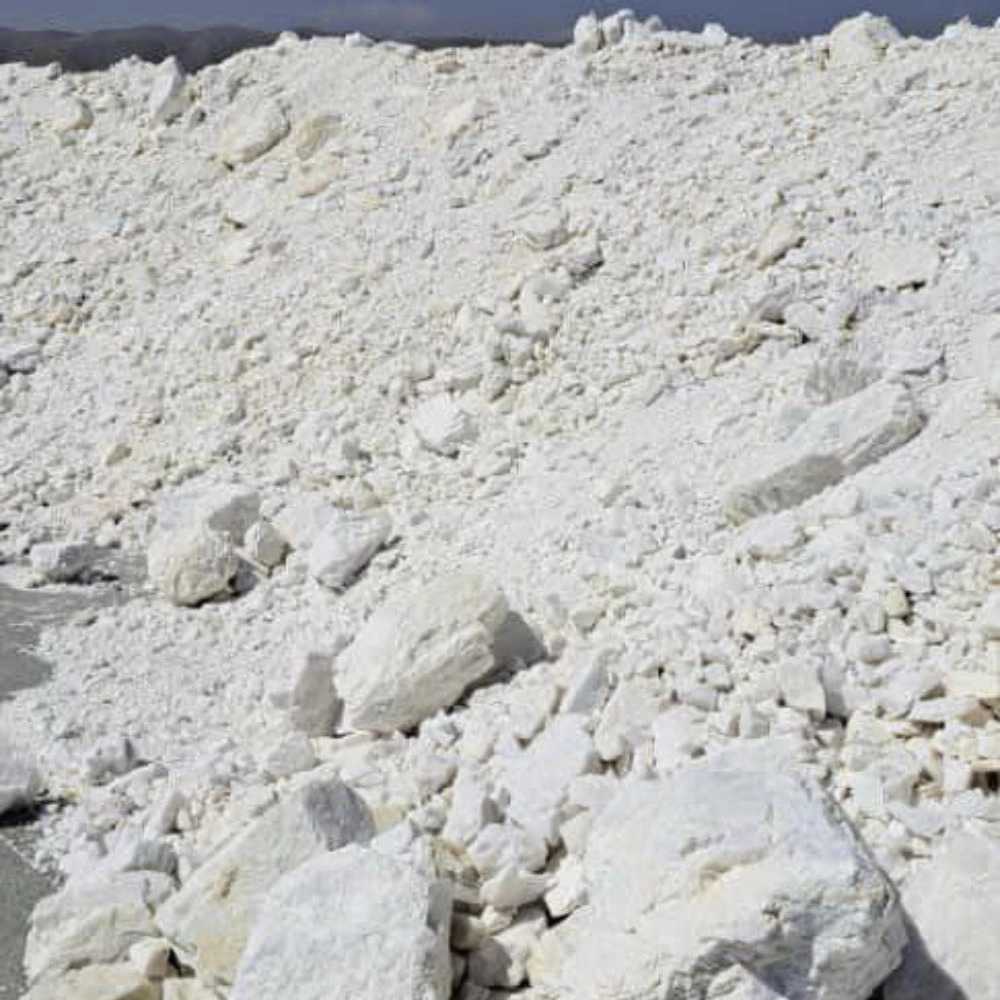 شرکت نام آوران