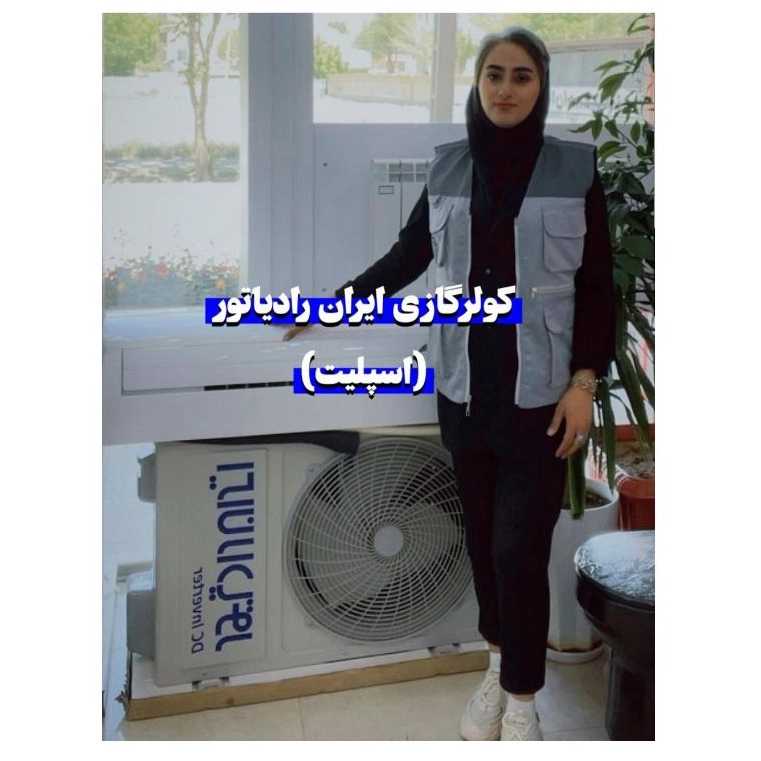 شهرکرد قلعه ناصری
