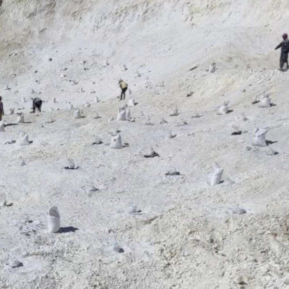 شرکت نام آوران