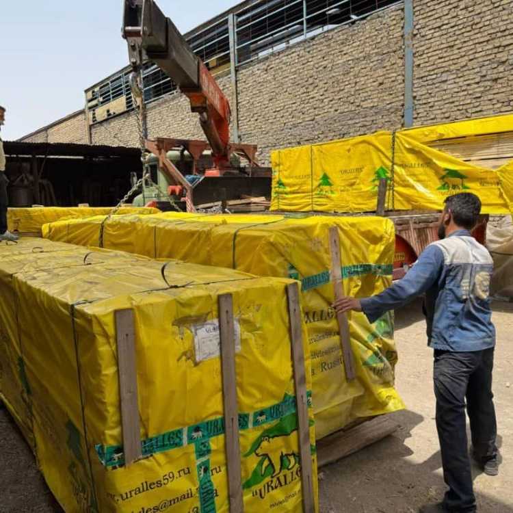 فروش چوب ایرانی و روسی