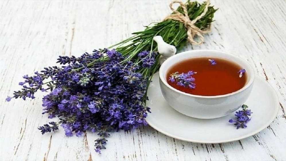 Red گل، تولید و فروش فندق و مغز فندق در گیلان