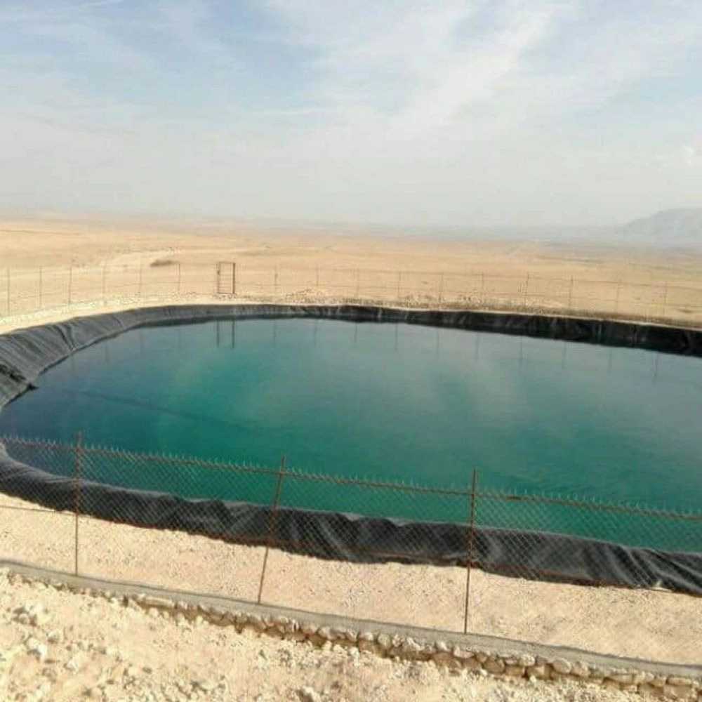 سبزینه ساز گلستان