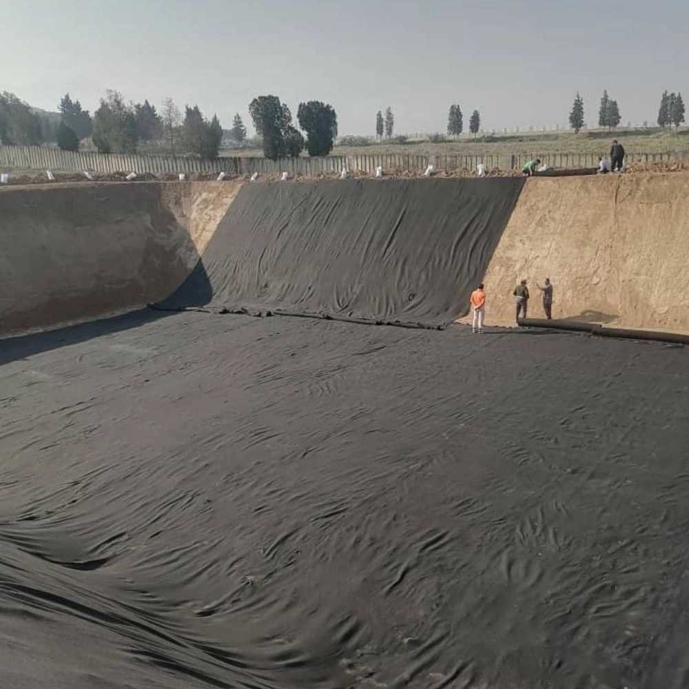 سبزینه ساز گلستان