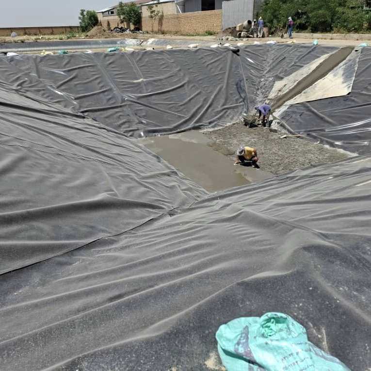 سبزینه ساز گلستان