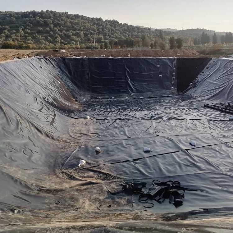 سبزینه ساز گلستان