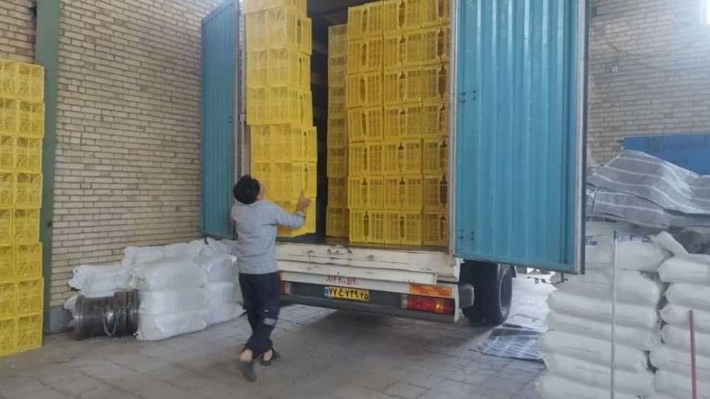 سبد سازی رجب زاده