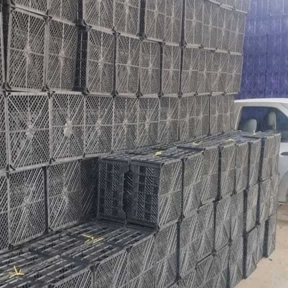 خرید سبد میوه ارزان‌قیمت تبریز