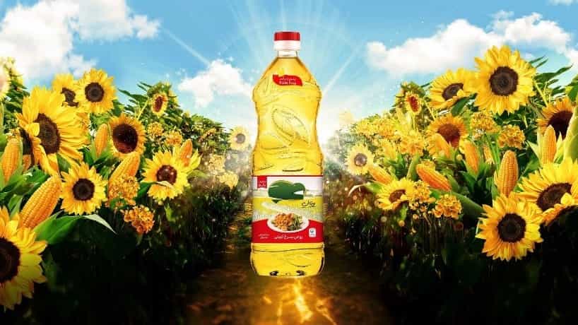 پخش عمده روغن سرخ کردنی