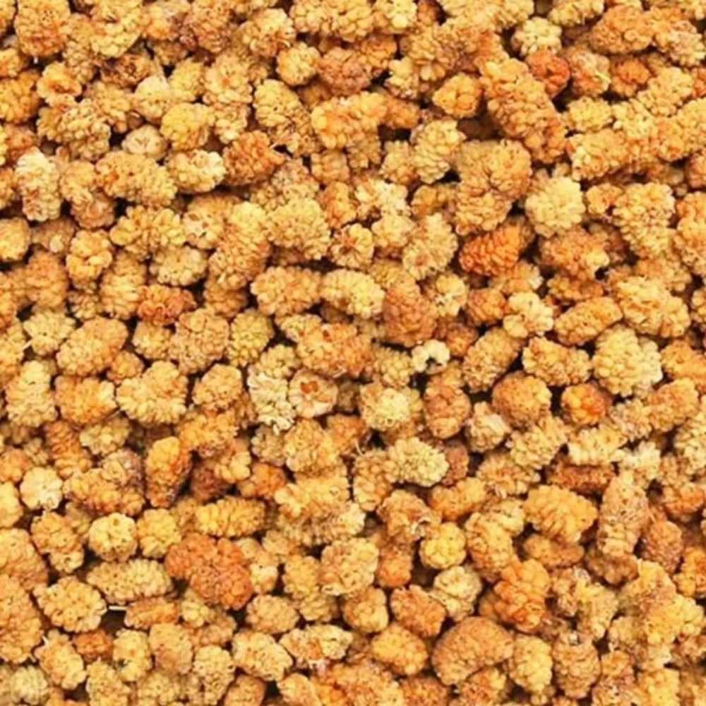 فروش عمده و خرده توت خشک