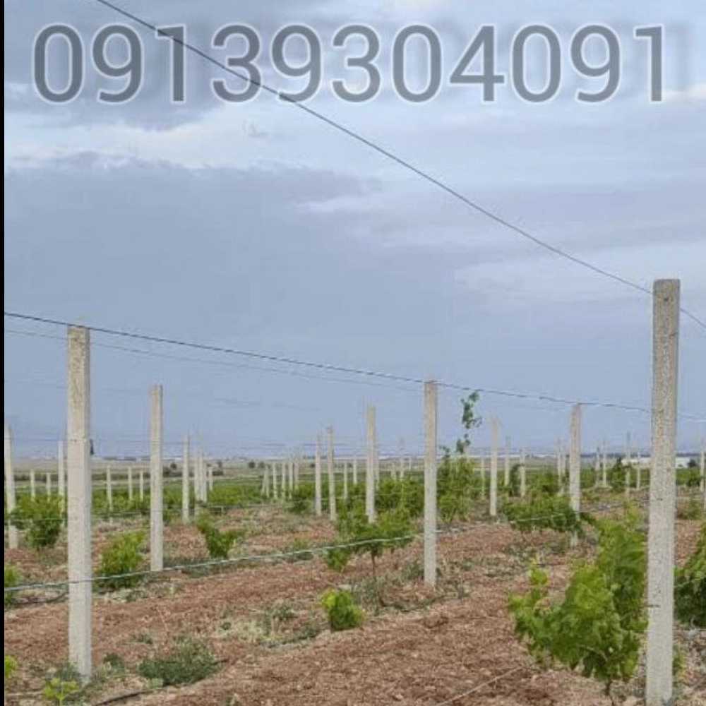 پایه بتنی پیش‌ساخته مخصوص داربست کردن مو انگور تیران اصفهان