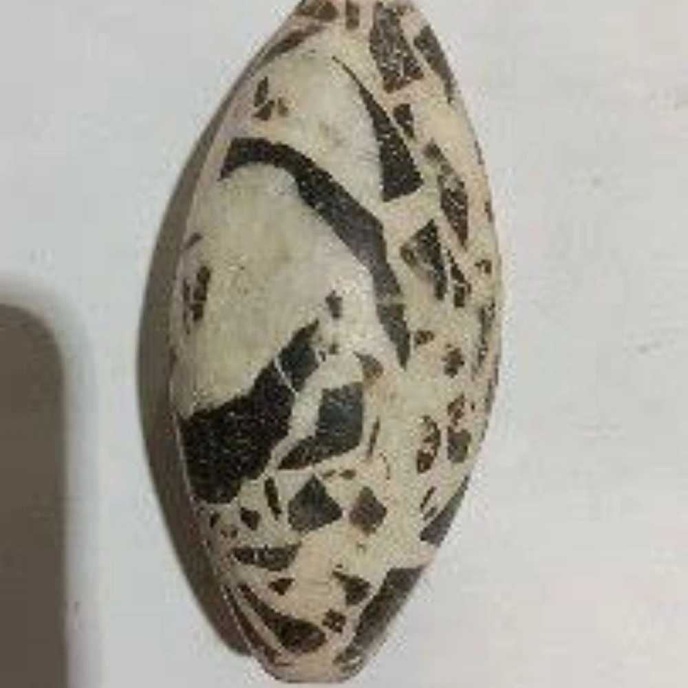 گوهرشناسی