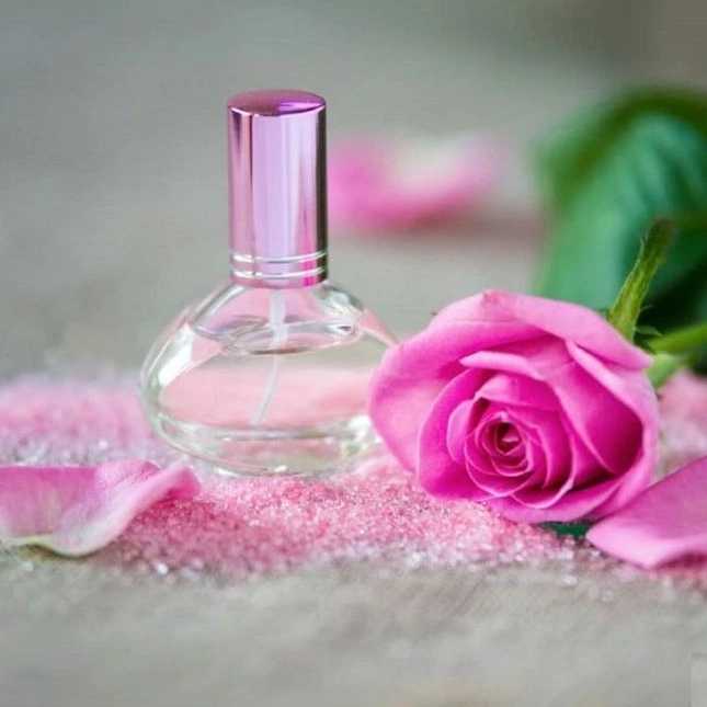 صادرات غنچه گل محمدی