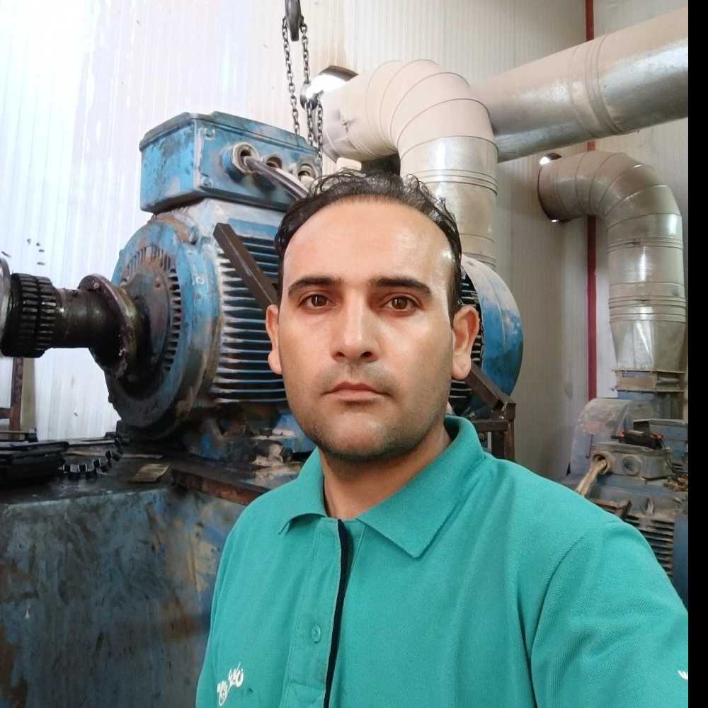 فن