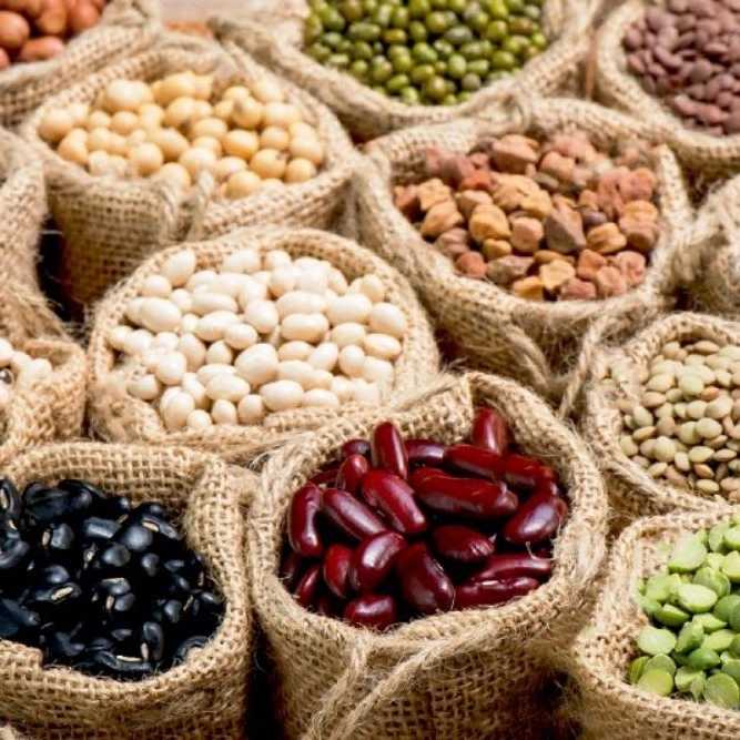 صادرات کالا صیفی جات حبوبات