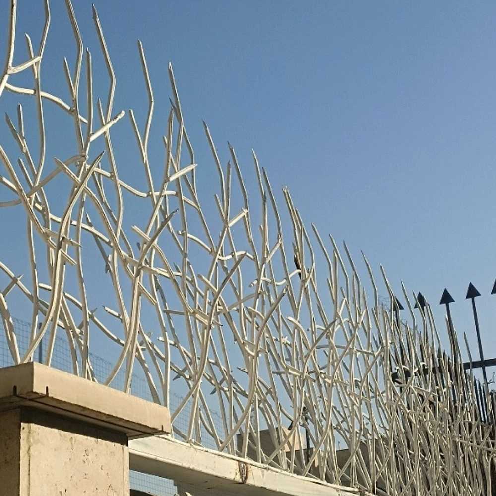 تولیدی کاج بابل