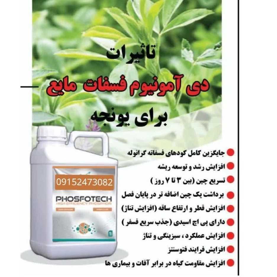 آبادگر نگین خراسان ankc