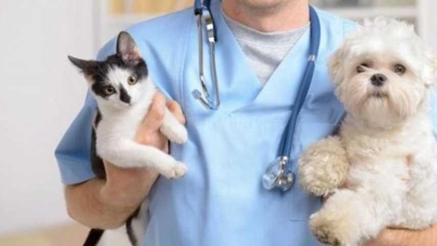 آزمایشگاه دامپزشکی رایت روشن دکتر شاه حسینی در کرج