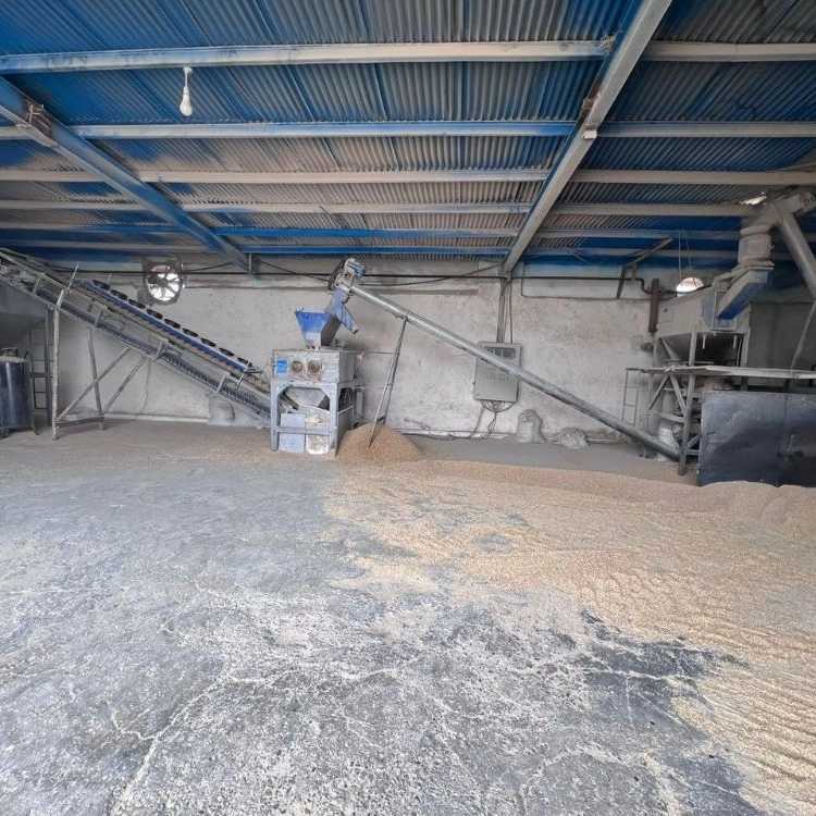 فروش خوراک دام عشایری با ارسال سریع به سراسر سمنان