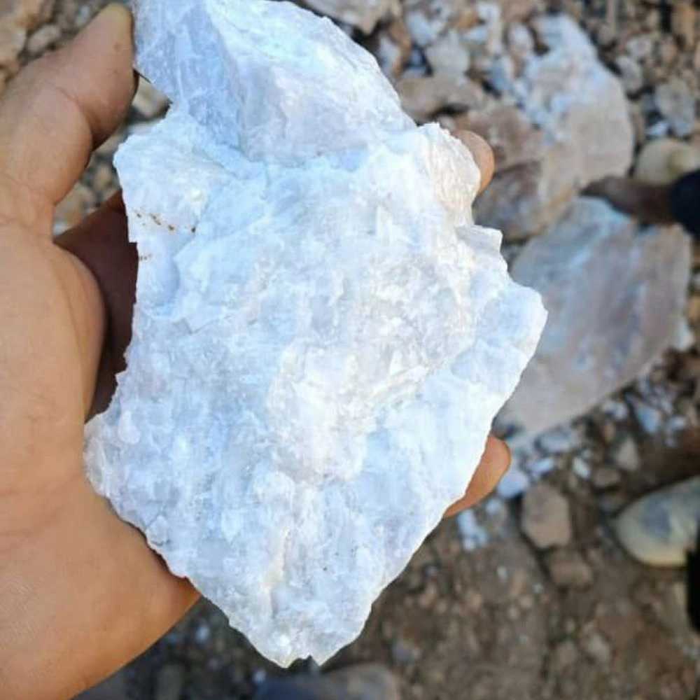 رویان واثق شرق