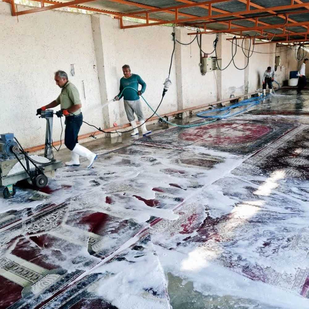 قالیشویی پاتریس