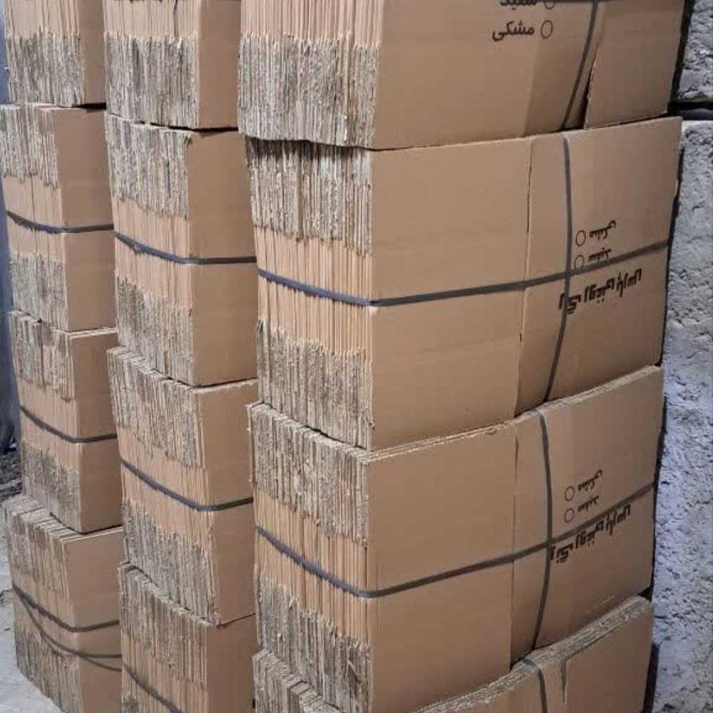 کارتن سازی ایرانیان